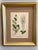 Textile A Suite of Eight English Botanical Engravings, Late 19th Century For Sale - Image 7 of 13