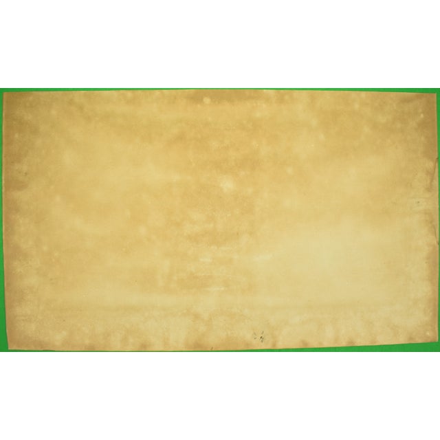 Mid 20th Century Mid 20th Century Paul Brown the First Fence Pink Coat Cup For Sale - Image 5 of 7