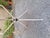 Metal Cumano Model Folding Coffee Table in White Steel by Achille Castiglioni for Zanotta, 1978 For Sale - Image 7 of 8
