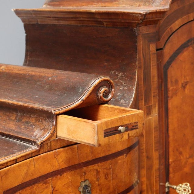 Walnut and Maple Burl Trumeau with Various Wood Trim For Sale - Image 5 of 16