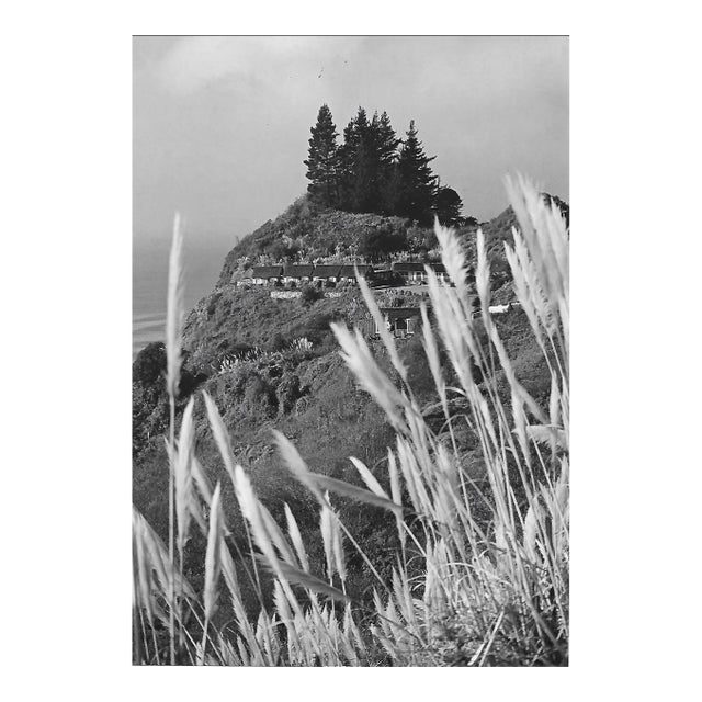 1982 California Coast Photograph by Don Ware For Sale