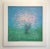 'Apple Blossom' Acrylic and marble plaster on canvas board. Framed Image size 23.5" x 23.5" I create the picture first in...
