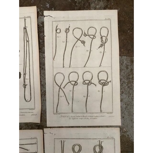 Traditional Antique 18th Century Knot Engravings - Set of Five For Sale - Image 3 of 7
