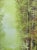 Serene Green - Vintage Oil Painting by Jo Ann Wright, Listed Texas Artist - Forest Trees With Water Scene For Sale In Austin - Image 6 of 10