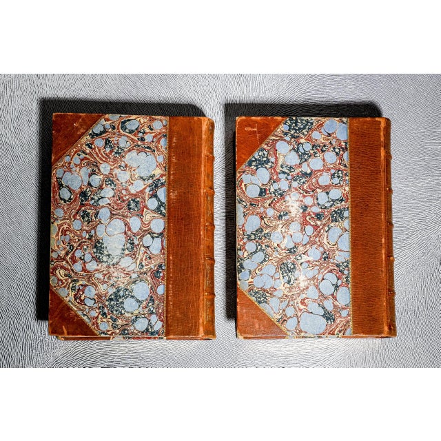 Amazing Illustrated Antique Leather Spine Book Set Middle Ages and Renaissance Art and Culture Paul Lacroix Home Decor Reference For Sale - Image 13 of 13
