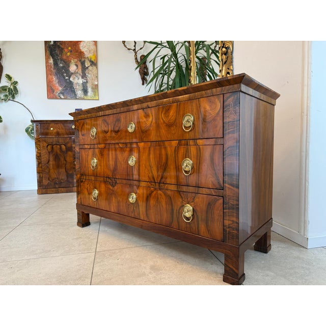 Biedermeier Chest of Drawers in Walnut For Sale - Image 4 of 14
