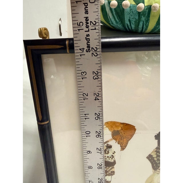 Framed Butterfly Wing Art Featuring Two Figures With Parasols For Sale - Image 4 of 12