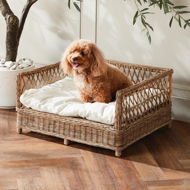 Kenneth Ludwig Chicago Normandy Pet Bed Large For Sale - Image 4 of 4