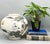 Captivating and large rounded porcelain vase with a crane and pine landscape in black, soft green, and warm sepia tones....