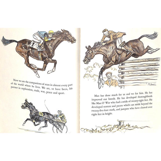 "Your Pony's Trek Around the World" 1956 Brown, Paul For Sale - Image 10 of 15