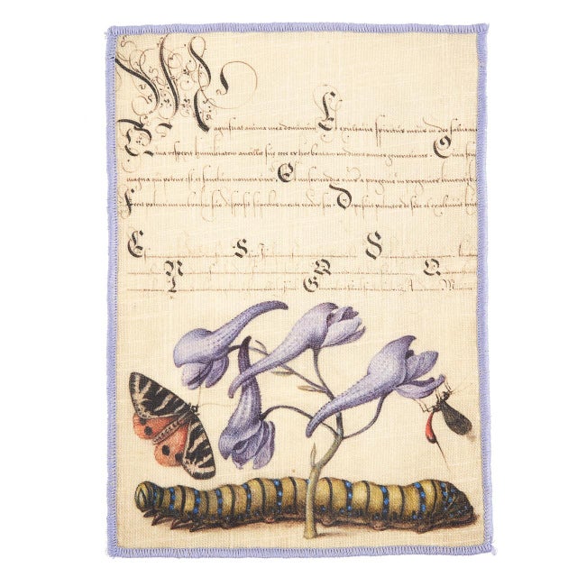 Illustration Botanical Cocktail Napkins, Set of 6 For Sale - Image 3 of 15