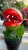Plastic Classic Movie Memorabilia Animated Audrey Plant For Sale - Image 7 of 15