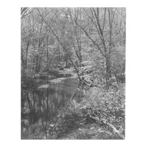 1946 Chompawamsic Creek in Northern Virginia Photograph by Don Ware