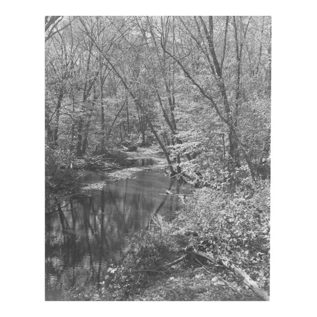 1946 Chompawamsic Creek Northern Virginia Photograph by Don Ware For Sale