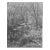 1946 Chompawamsic Creek Northern Virginia Photograph by Don Ware For Sale