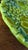 1960s Inarco Japan E2606 Green Majolica-Style Fruit Pedestal Compote For Sale - Image 12 of 18