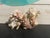 5” Natural Stony Coral Specimen From the Scleractinia Order For Sale - Image 9 of 9