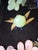 Asian Stone Fruit Collection Group of Three For Sale In San Antonio - Image 6 of 13