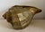 Large Vintage Brass Conch Seashell Planter For Sale - Image 4 of 11