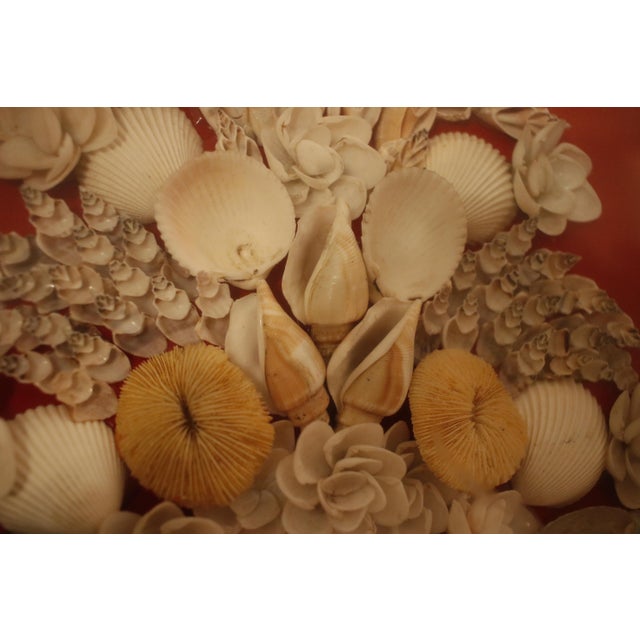 Mid Century Sailor's Valentine Shell Bouquet With Carved Wood Shadow Box Frame For Sale - Image 6 of 15