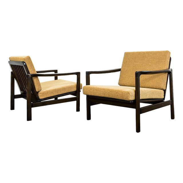 Mid-Century Modern Lounge Chairs by Zenon Bączyk, Poland, 1960s, Set of 2 For Sale