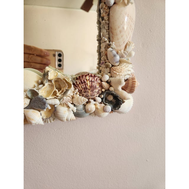 Seashell Encrusted Wall Mirror, Coastal Grandma Decor, Scallop Shell Accent For Sale - Image 16 of 16