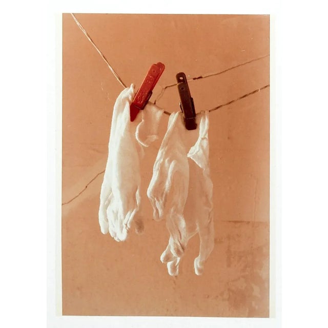 Mid-Century Modern 1979 Richard Bray Hanging Gloves Photograph For Sale - Image 3 of 3