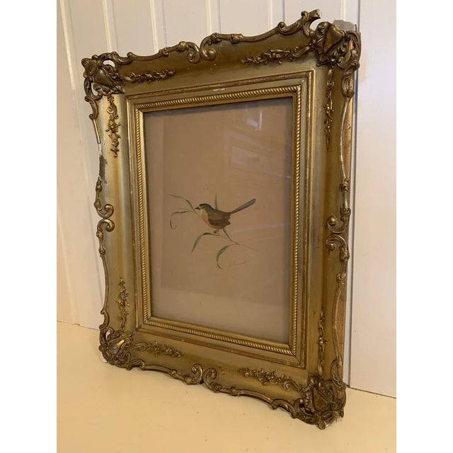 Adolphe Fourcaud, Bird on Branch, 18th Century, Watercolor, Framed For Sale - Image 3 of 11