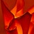 Sculptural Orange Plastic Table Lamp by Les Eclarares, France, 1990s For Sale - Image 10 of 16