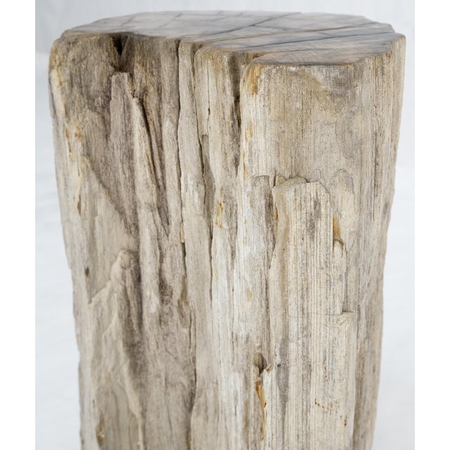 Mid-Century Modern Large Beige Petrified Wood Organic Stomp Shape Stand End Side Table Pedestal For Sale - Image 3 of 10