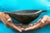 Wood Antique African Oromo Carved Wood Vessel With Sculptural Handles For Sale - Image 7 of 9