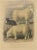 Fairland after W. Nicholson, Sheep from the Wicklow Mountains, 1842, Lithograph on Paper For Sale - Image 6 of 6