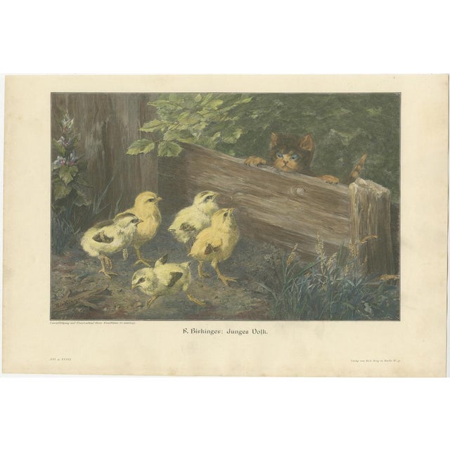 Cat Prints, 1898, Paper, Set of 6 For Sale - Image 5 of 11