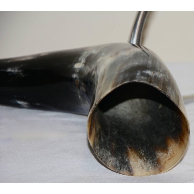 Black Buffalo Horn on a Stand Home Decor For Sale - Image 8 of 9