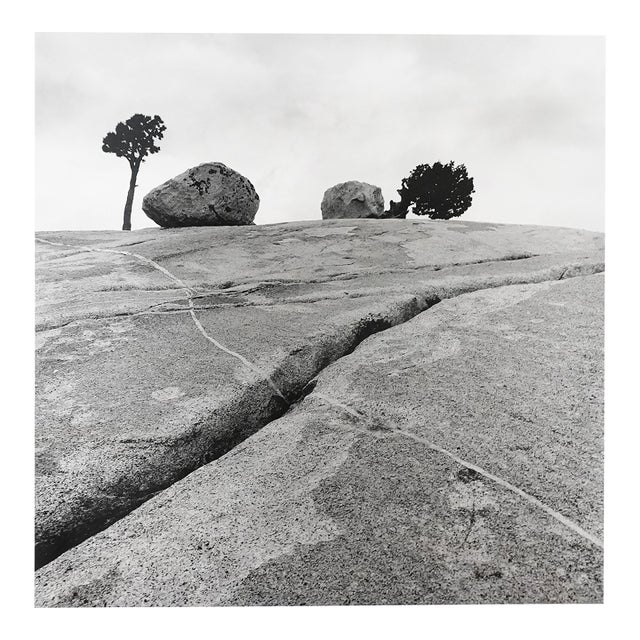“Couples” 1988 Black & White Silver Print by Jacques Cressaty For Sale