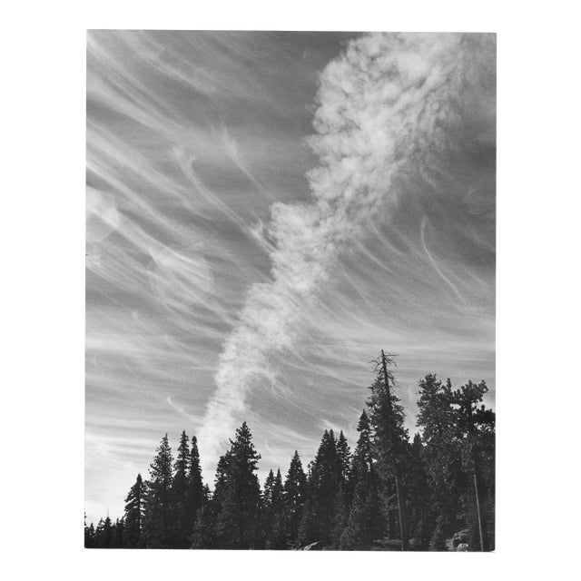 1975 Yellowstone National Park Landscape Photograph by Don Ware For Sale