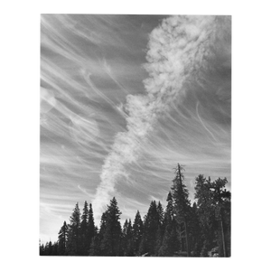 1975 Yellowstone National Park Landscape Photograph by Don Ware