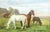 An English 19th-Century bucolic portrait study of several horses grazing in a meadow. This antique oil painting depicts...