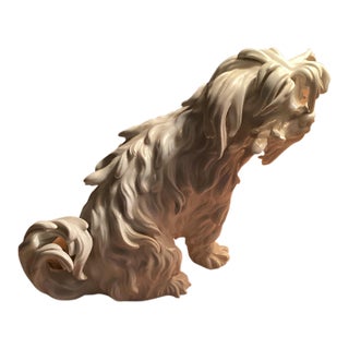 Late 19th Century Meissen Porcelain. Bolognese Dog For Sale