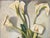 1950s 1950s Helen McClain Ojai California Still Life Calla Lily in Blue Pot Oil on Canvas Panel For Sale - Image 5 of 9