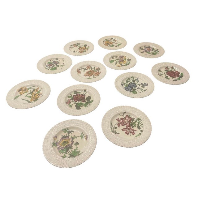 Ceramic Set of 12 Antique Cauldon Ltd. England Botanical Porcelain Plates, Circa 1905–1920 For Sale - Image 7 of 12