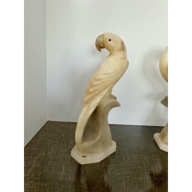 Pair Italian Alabaster Parrot Bird Sculptures - Mid Century For Sale - Image 14 of 18