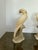 Pair Italian Alabaster Parrot Bird Sculptures - Mid Century For Sale - Image 14 of 18