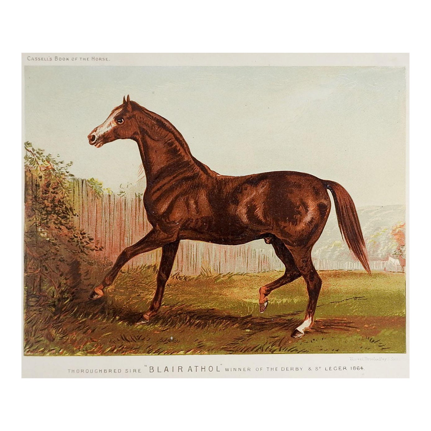 Late 19th Century British Race Horse Equine Chromolithograph | Chairish