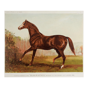 Late 19th Century British Race Horse Equine Chromolithograph