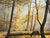 Late 20th Century Horse next to River in the Woods of the English Countryside by British Artist 1970 (Circa) For Sale - Image 5 of 18