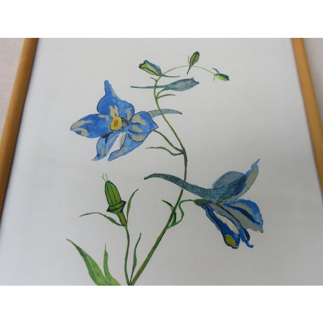 Flowers Watercolor by W. Kratz, 1950s, Set of 4 For Sale - Image 4 of 18