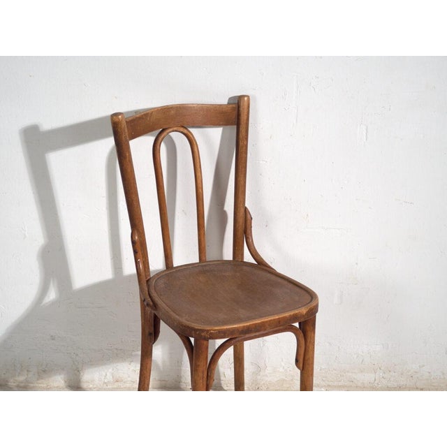 Antique Bentwood Chairs, Central Europe, 1900s, Set of 6 For Sale - Image 12 of 16