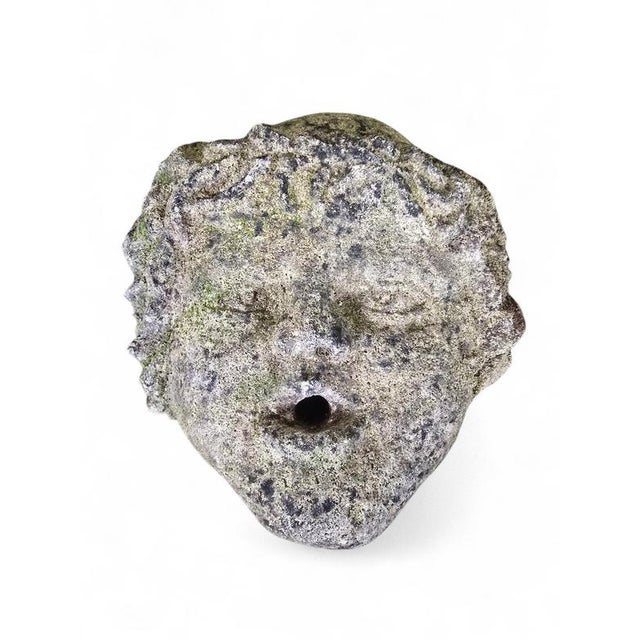Vicenza Stone Child's Head Fountain Spout, 1890s For Sale - Image 11 of 12