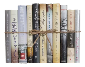 Decorative Books - Foggy Days Dust Jacket Book Bundle - 1 Foot of Grey Books